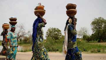 Tambuwal: Masu tallar fura da nono ne suke kaiwa 'yan bindiga miyagun kwayoyi