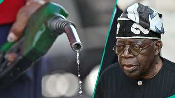 Petrol price increased by over 600% in 3 years after subsidy removal
