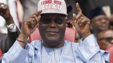 Atiku tipped to win northwest by landslide in presidential election