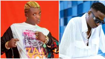 Mission impossible: Reactions as Portable begs Wizkid to collaborate with him on multiple songs