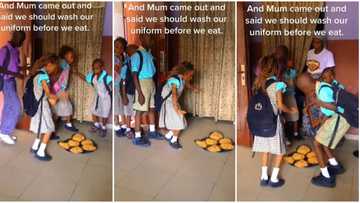 "Wonderful consumers": Happy children dance around jollof rice after coming back from school, video goes viral