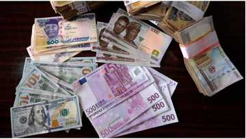Naira remains weak against dollar, sells at N700 for a pound