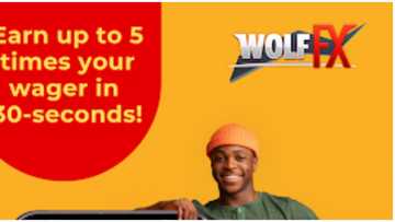 Nigerian Bettors Set to Win $1,000,000 with New Betting Platform Wolf Fx