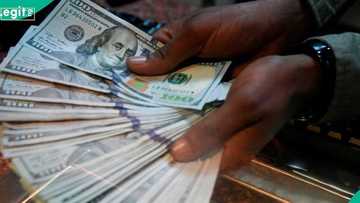 Dollar exchange rate falls as naira gains in official, parallel markets