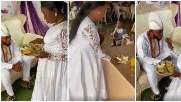 She's not even happy: Nigerians react to viral video of sad pregnant bride kneeling to feed groom at wedding