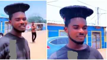 Sun protection: Man's unique 'umbrella' hairstyle receives funny nicknames online