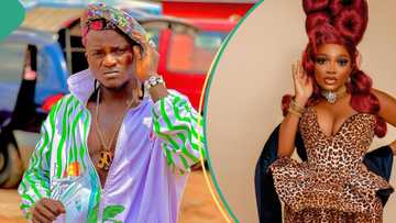 “I will give u 30% of my wealth”: Portable proposes to Papaya Ex to be his 6th wife, audio trends, she reacts