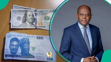 CBN closes undelivered FX contracts investigation, refunds naira for invalid deals