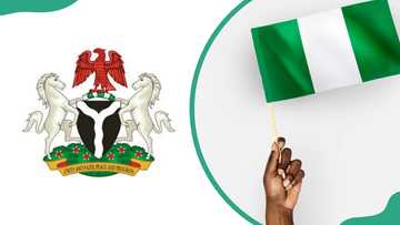 11 national symbols of Nigeria and their meanings explained