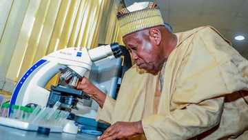 Wata Sabuwar Cuta Da Ta Ɓulla Ta Kashe Mutum 6 a Kano