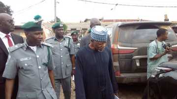 Customs officers intercept foreign currencies in baby diapers at Kano airport