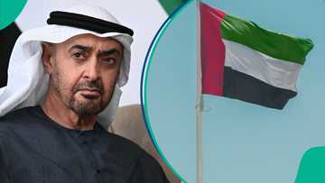 UAE announces 7 categories of foreigners who qualify for Golden Residency