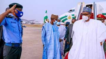 Duk da rade-radin maye gurbinsa, IGP ya tarba shugaba Buhari bayan sauka Abuja daga Daura