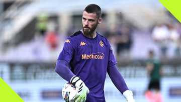 De Gea silences critics, saves penalty as Fiorentina qualify Europa Conference League next stage