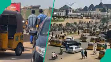 Bidiyo: Fusatattun matasa sun tare titin Kano zuwa Zaria, sun hana motoci wucewa