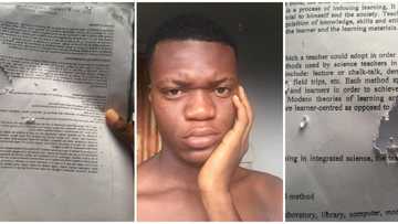 You no cook for them; Hilarious reactions as student shares photos of his exam material eaten by rats