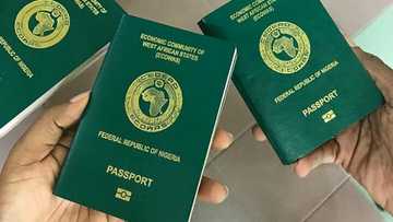 How long does it take to get an international passport in Nigeria? Costs and procedure