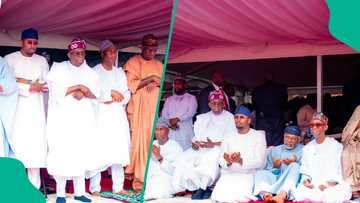 "Strong pillar": APC member shares photos of Tinubu's son 'only a few truly know'