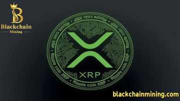 BlackchainMining: A New Sustainable XRP Cloud Mining Experience