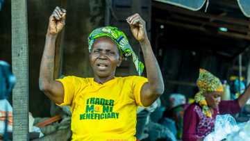The truth you should know about Tradermoni - Uzoma Nwagba