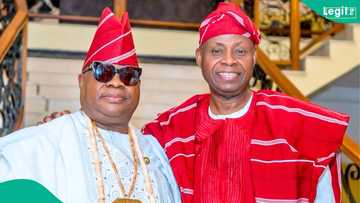 Davido’s Father and Governor Adeleke’s heartwarming moment after certificate of return gets people talking
