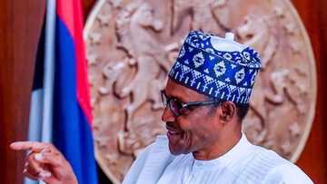 Dalilin da yasa na yanke kauna da gwamnatin Buhari, Shahararren jigon arewa ya magantu