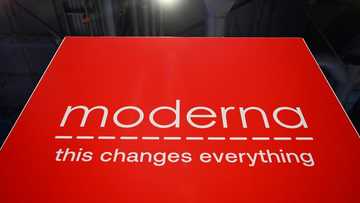 US cancels $590 million contract with Moderna for bird flu shot