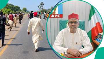 Fusatattun matasa sun farmaki dan majalisar tarayya na APC a Kano da duwatsu