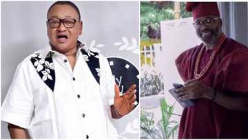 Nollywood actors Jide Kosoko, Yemi Solade, others lead protest against top hotel over N50m copyright debt