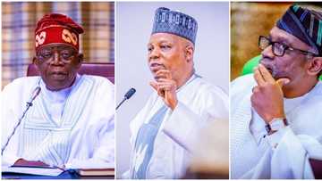 List of former lawmakers in President Bola Tinubu’s team