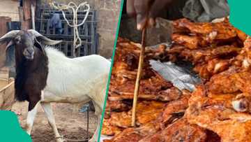 Kano: How Sallah meat surplus left Suya sellers struggling