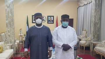 Are you in PDP or APC? Heated reactions trail Fani-Kayode's fresh visit to another southeast governor