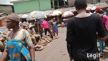 Legit.ng weekly price check: “Nigeria inflation rate terribly affecting us”, Yam seller in popular Lagos market groan