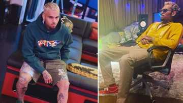 Chris Brown's fans demand apology after leaked texts suggest victim allegedly lied about assault claims