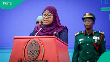 Zanzibar: Tanzania explains how to check visa application status online in 2026