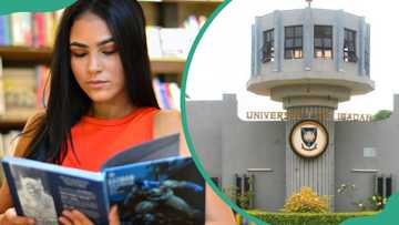 University of Ibadan courses, cut off mark and requirements in 2024/2025