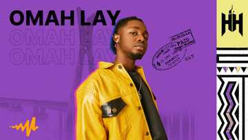 Watch Tems, Omahlay, Fireboy and more shut it down at the Audiomack Hometown