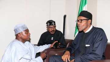 Accusation of nepotism in appointments is an old story - Presidency