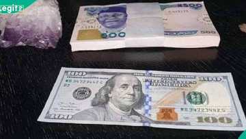 Naira: Nigeria’s FX supply rose 20.5% to $8.94bn in 2025
