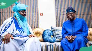 “He’s destabilising Kano state”: NNPP chair shares why Emir Bayero is enjoying Tinubu’s support