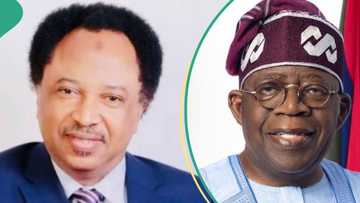 Shehu Sani ya yi martani bayan Shugaba Tinubu ya samu sabon babban mukami a Afirika