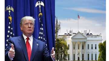 Matar da ta aike wa Trump wasika mai guba ta shiga hannun jami'an tsaro