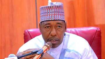 2023: Zulum ya goyi bayan gwamnonin kudu kan mika mulki yankinsu