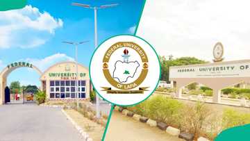 Federal University Lafia of Nasarawa State courses and cut off mark