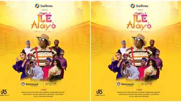 Mr. Macaroni, Broda Shaggi's Ile-Alayo trailer stirs laughter ahead of December 6 release