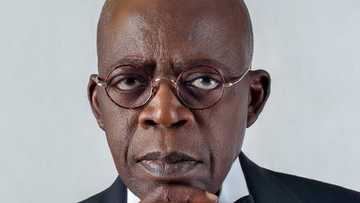 Ganduje ya karfafa yaki da rashawa a jihar Kano, Cewar Tinubu