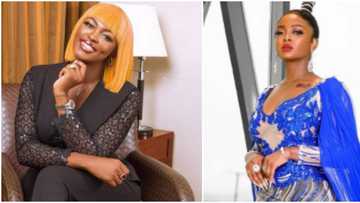 No Instagram means no endorsement: BBNaija's Ka3na shades Shine Ya Eye stars, Nigerians react