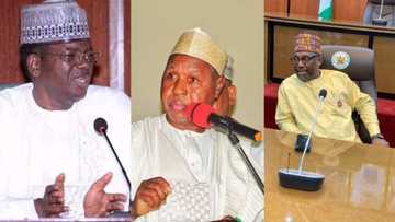 NGOs accuse some northern governors of turning kidnapping into business