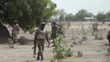 Boko Haram reportedly abducts 4 soldiers, two policemen in Yobe state