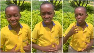 Boy with well-spoken English language loses senior prefect election to another kid in school, accepts defeat